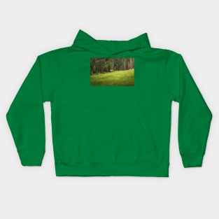 Picturesque Carpathians Scene Kids Hoodie